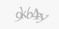 Қорғаныс коды